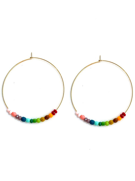 Triumph Rainbow Earrings